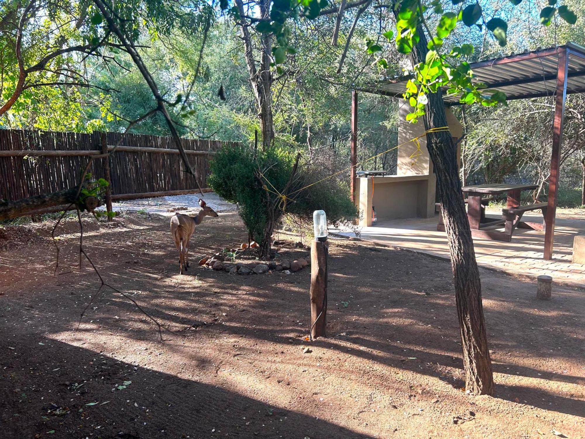 Athule Inn Marloth - Units Marloth Park Ngoại thất bức ảnh